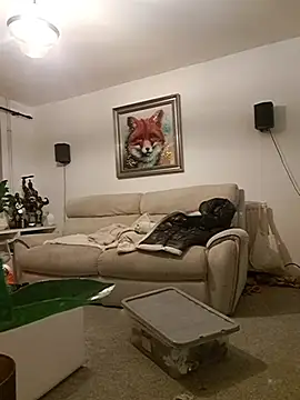 Adam11699 online show from 11, 1, 2026