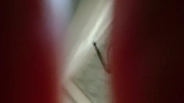 Natali-Gucci online show from 12, 11, 2025