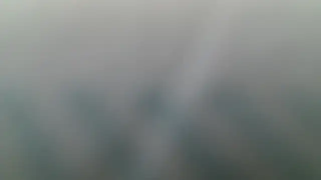 Natali-Gucci online show from 25, 11, 2025