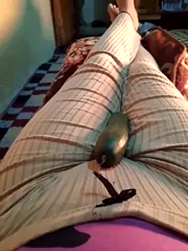 Tota sexi online show from 30, 11, 2025