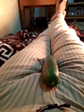 Tota sexi online show from 28, 11, 2025