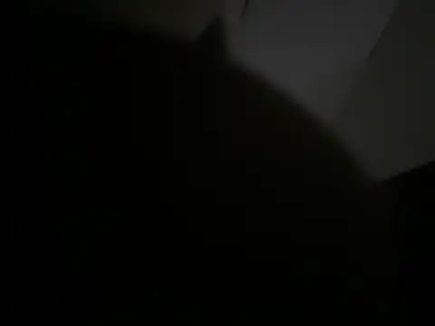 GangstaD online show from 12, 1, 2026