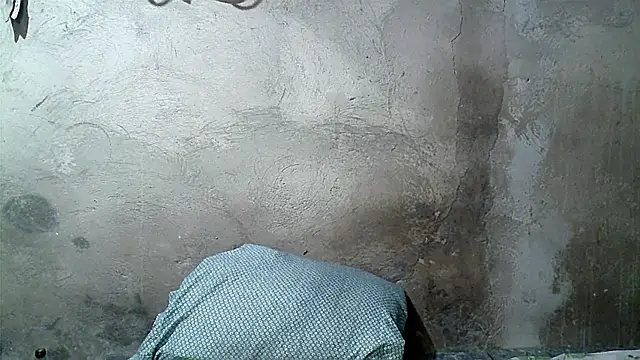 xwindyxxx online show from 7, 3, 2026