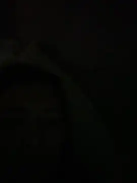 xwindyxxx online show from 24, 5, 2026
