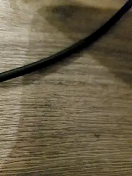 Snapshot of MaikBuoy chatting on 15, 2, 2026 MaikBuoy online show from 15, 2, 2026