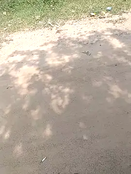 summa renu online show from 15, 11, 2025