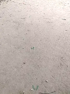 summa renu online show from 14, 11, 2025