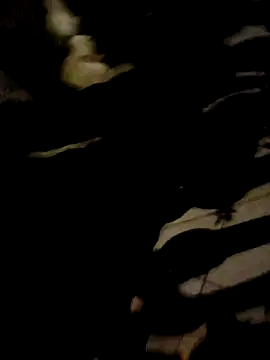 azael 51 online show from 8, 1, 2026