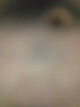 piggylatino online show from 2, 2, 2026