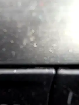 arcacsel online show from 4, 12, 2025