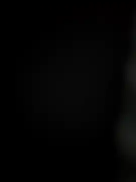 arcacsel online show from 14, 12, 2025