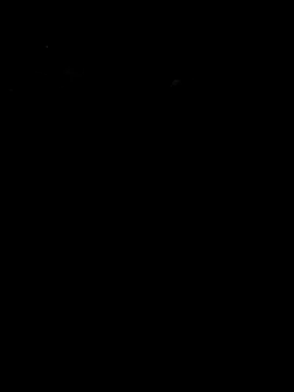 arcacsel online show from 12, 3, 2026