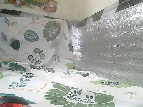 loriepinay46 online show from 8, 1, 2026