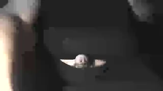 Snapshot of bigcumfrench chatting on 13, 7, 2026 bigcumfrench online show from 13, 7, 2026