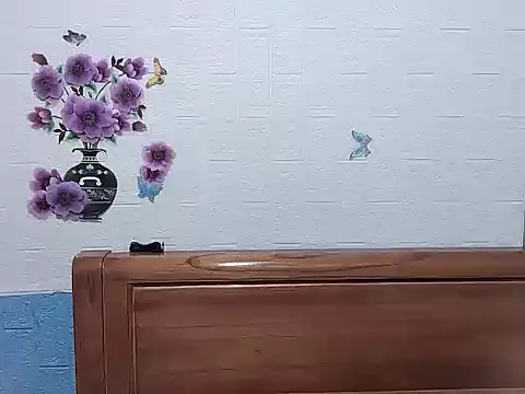 Snapshot of Site-loe chatting on 28, 2, 2026 Site-loe online show from 28, 2, 2026