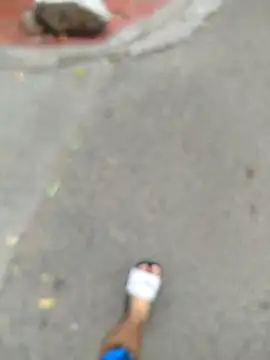 Carl-Milton online show from 23, 11, 2025