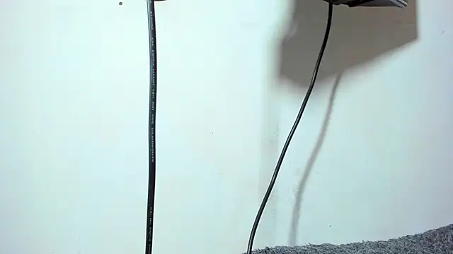 ZeusBrant online show from 15, 4, 2026