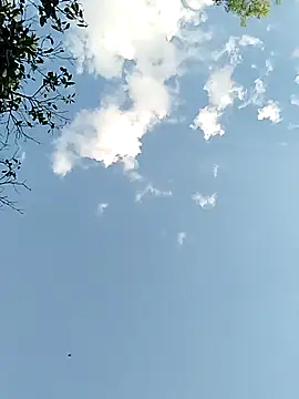 Snapshot of joselo2217 chatting on 25, 11, 2025 joselo2217 online show from 25, 11, 2025