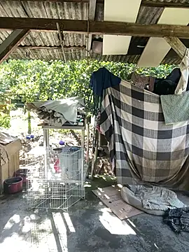 Monahliza online show from 11, 2, 2026