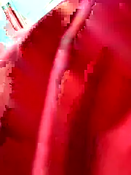 julianlondo111 online show from 24, 2, 2026