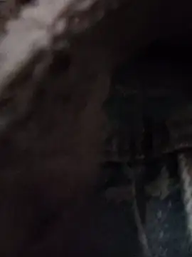 Lynk2x online show from 19, 11, 2025