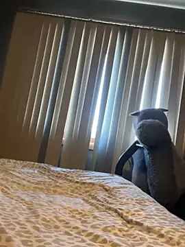 mouse- online show from 13, 2, 2026