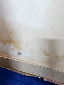 Asha devi90 online show from 12, 4, 2026