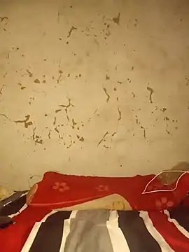 88shotass online show from 22, 11, 2025