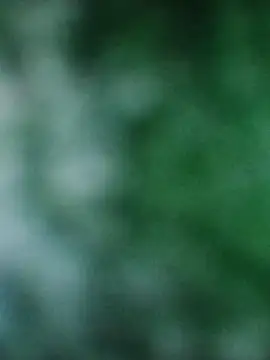 Snapshot of Rouse_hot_ chatting on 20, 12, 2025 Rouse hot online show from 20, 12, 2025