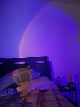 nikicatwild online show from 26, 11, 2025