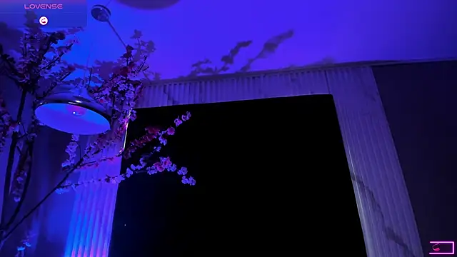 arya alaya cr online show from 23, 11, 2025