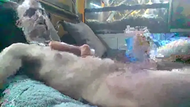 coatch1111 online show from 9, 1, 2026