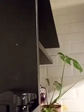 Yovitarica online show from 29, 11, 2025