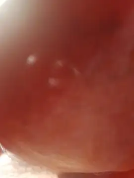 Ratacrocante online show from 19, 12, 2025