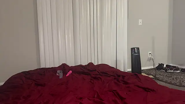 stellakobra online show from 24, 3, 2026