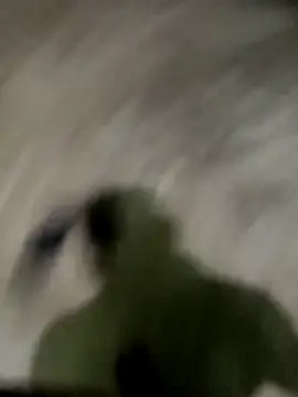 spermc online show from 27, 11, 2025