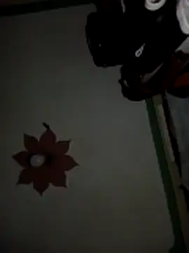 honeypot224 online show from 15, 3, 2026