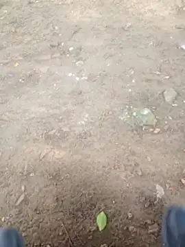 Jeison0323 online show from 9, 1, 2026