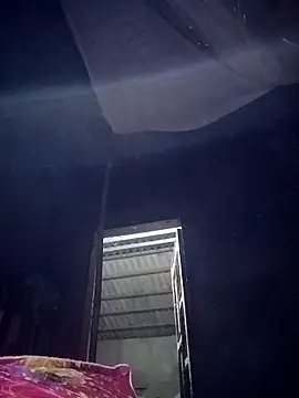 mon1-day online show from 19, 11, 2025