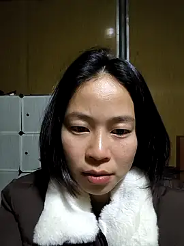 Cat-meow online show from 12, 1, 2026