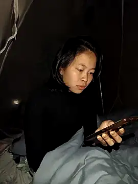 Cat-meow online show from 19, 11, 2025