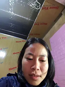 Cat-meow online show from 17, 11, 2025