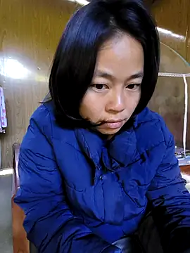 Cat-meow online show from 29, 11, 2025