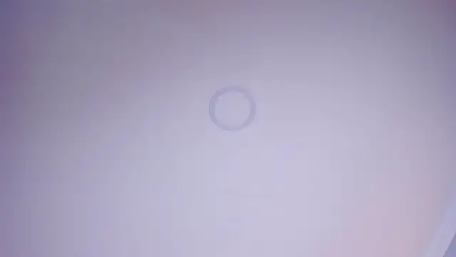 Charlotte Williams 1 online show from 27, 11, 2025