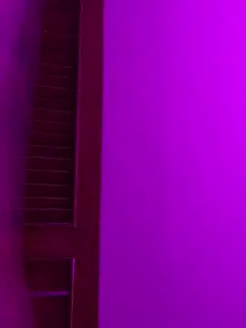 Dannii- online show from 14, 4, 2026