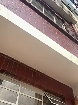 Dannii- online show from 1, 3, 2026