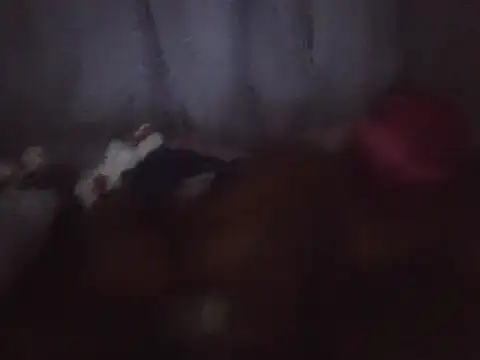 blackdickjeckmmm online show from 4, 12, 2025