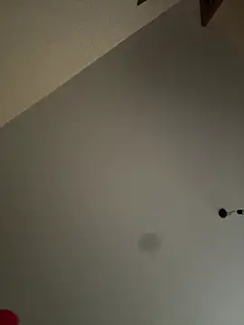 Anoraaa8A online show from 13, 1, 2026