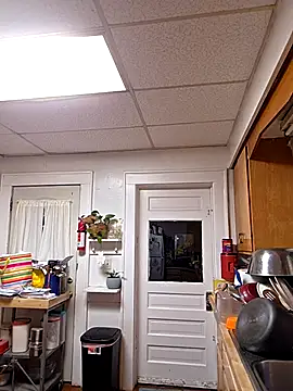 TheOneDonShaun online show from 6, 4, 2026