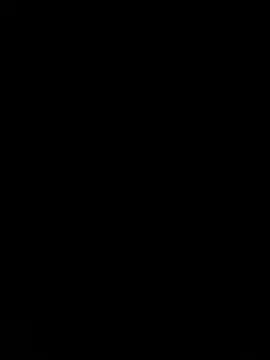 scdeinbre24 online show from 19, 11, 2025